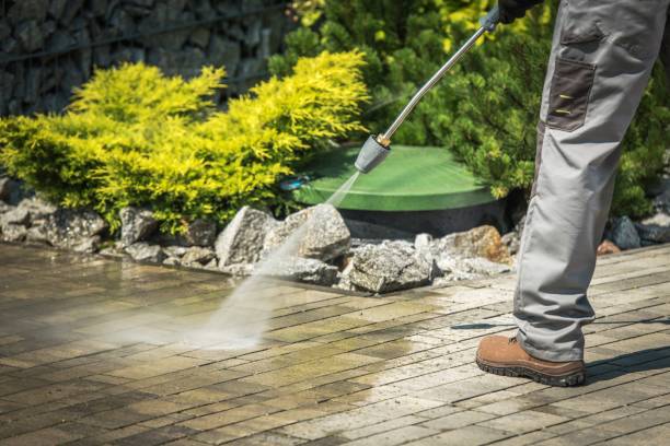 Best Animal Enclosure Cleaning  in Holiday Heights, NJ